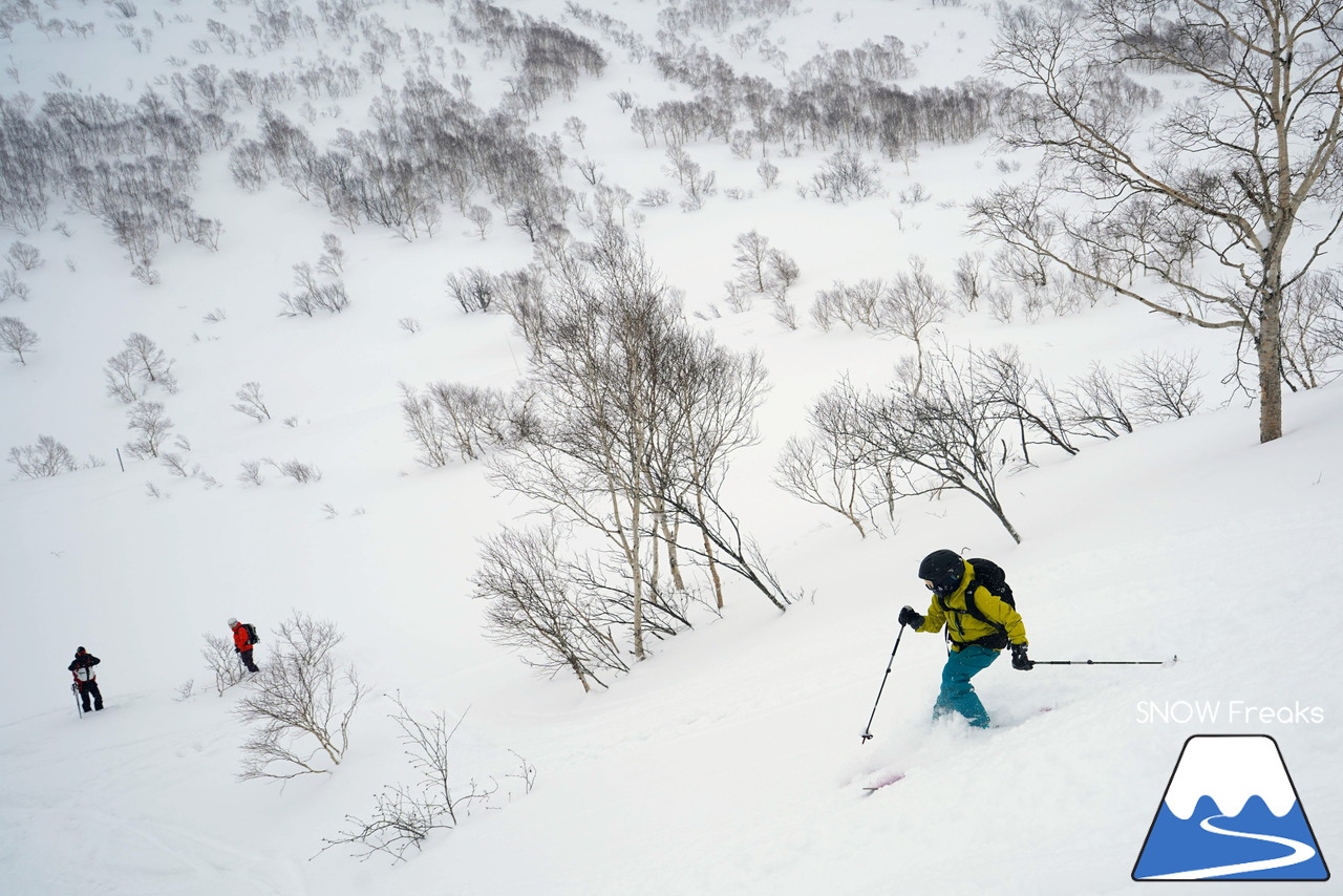 Mt.石井スポーツ / b.c.map イベント『児玉毅・山木匡浩と行く、ニセコパウダーハンティング 2019』密着レポート!!